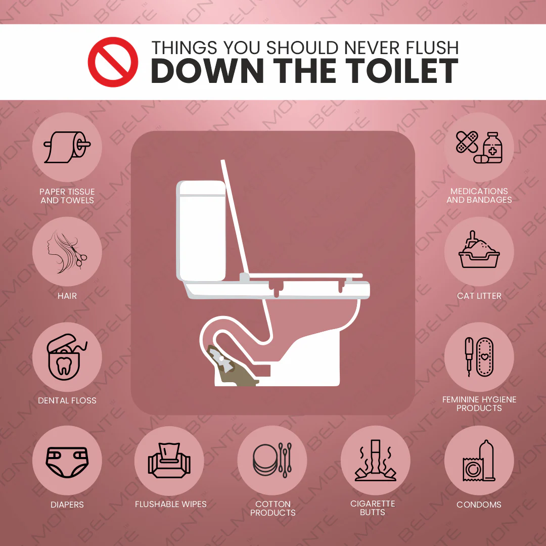 Ceramic Western Toilet (Entic) - Image 5