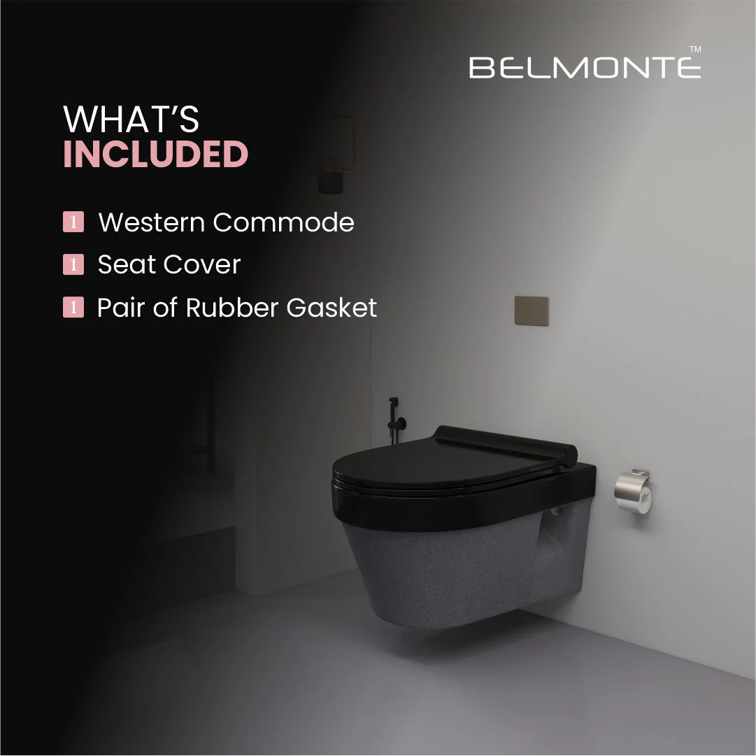 Designer Wall Hung Water Closet (Retro W/H RB01) - Image 7