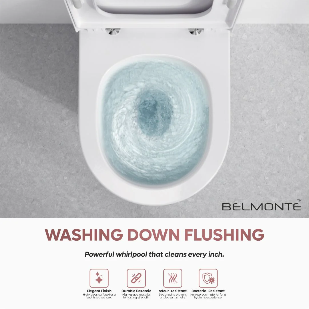 Designer Water Closet (Ewc Retro 21) - Image 5
