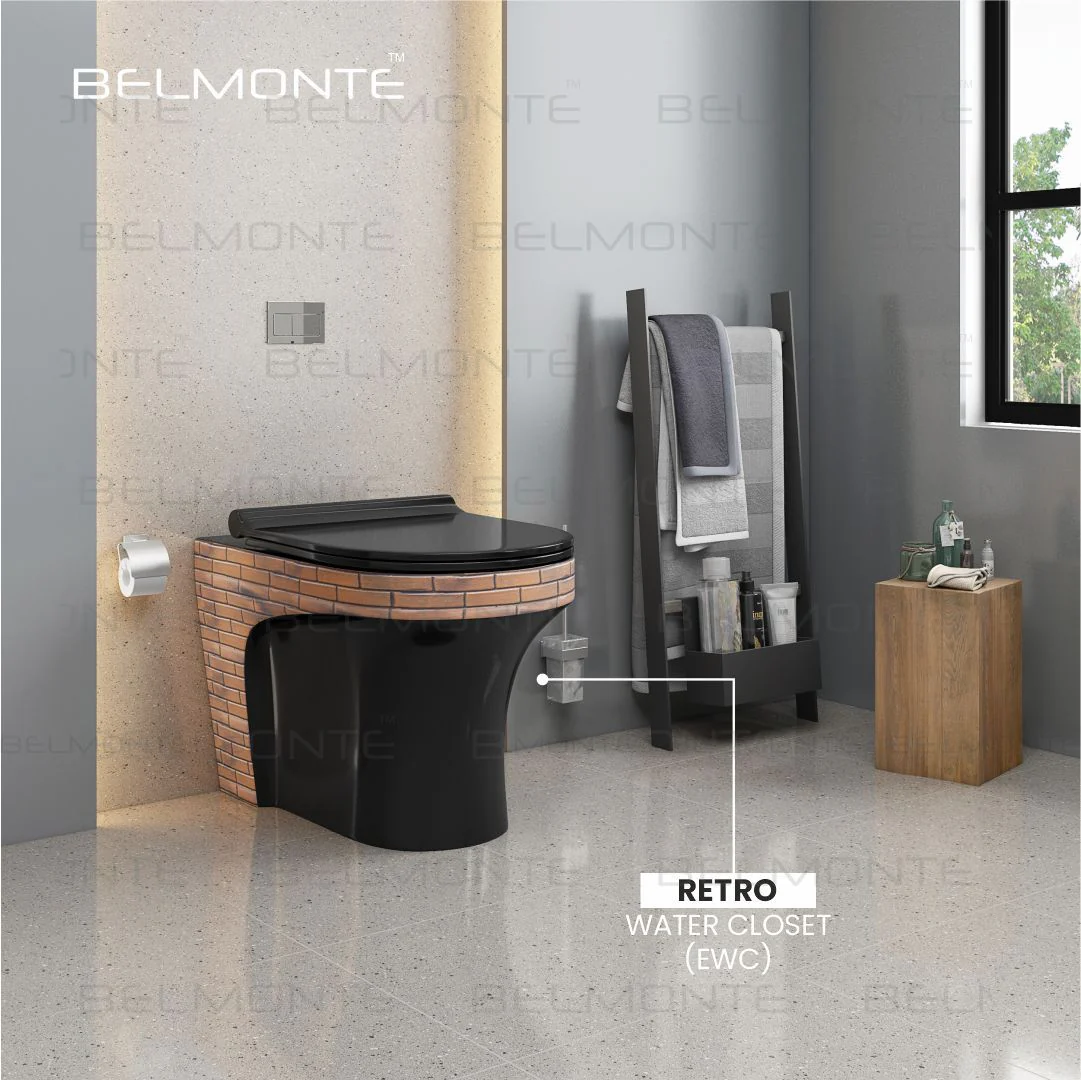 Designer Water Closet (Ewc Retro BB08) - Image 3