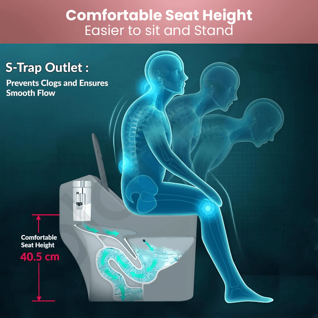 One Piece Water Closet (Alfa-WD) - Image 3