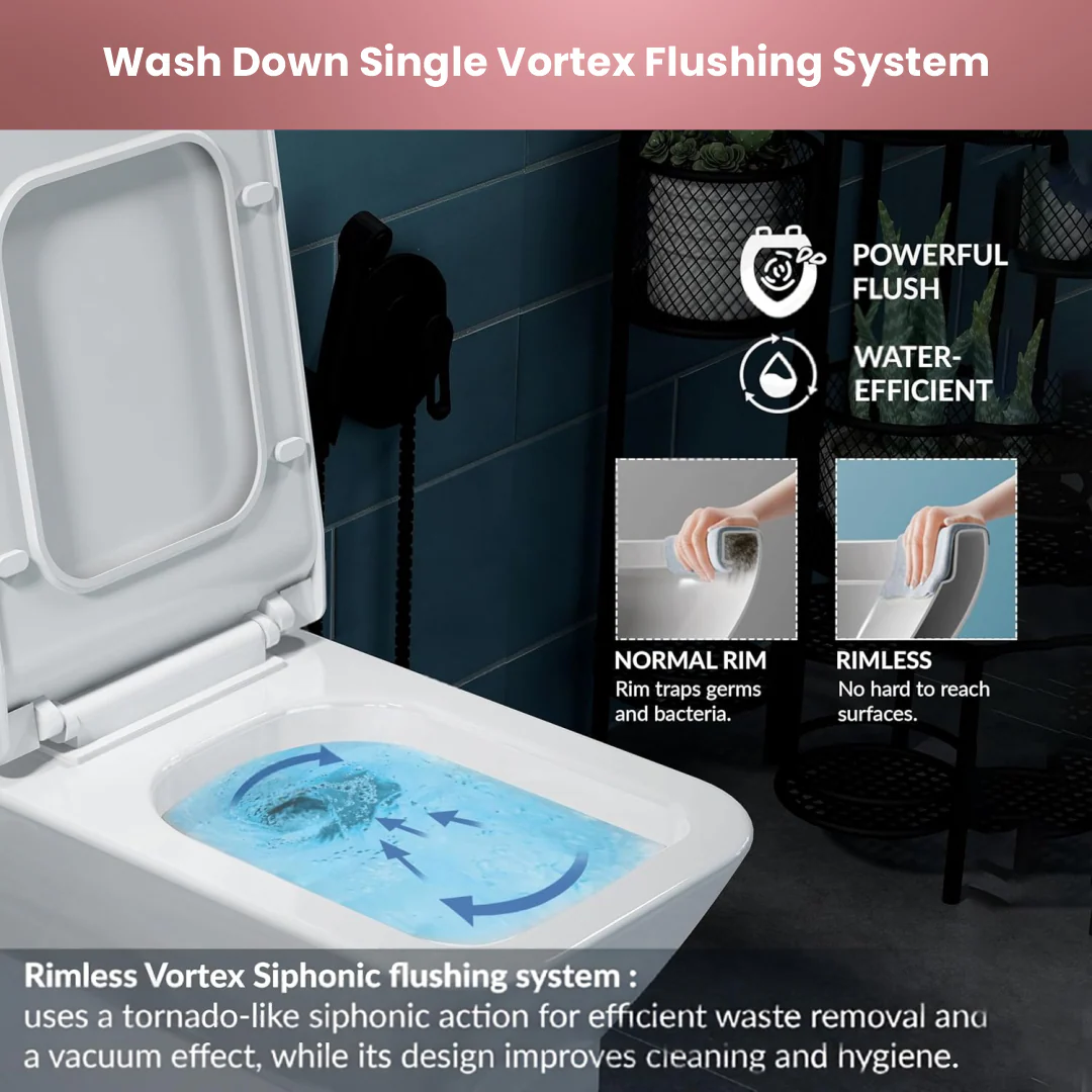 One Piece Western Toilet (Cooper) - Image 4