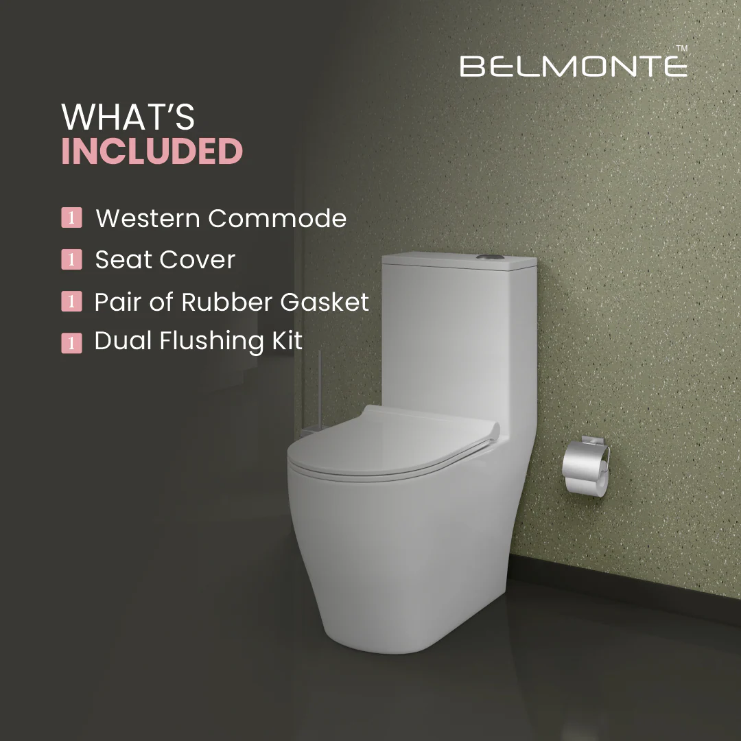 One Piece Western Toilet (Cooper) - Image 5