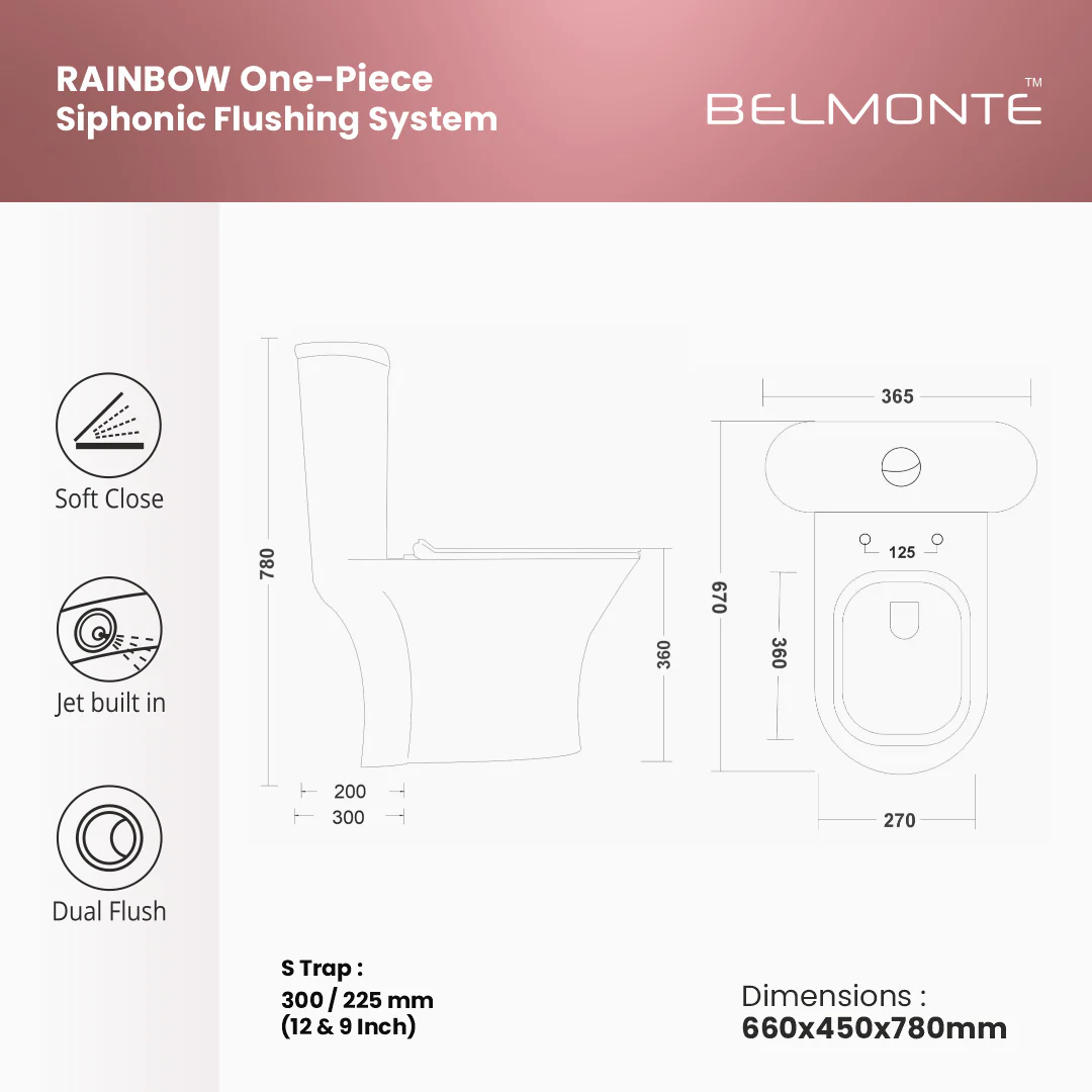 Single Piece Western Toilet (Rainbow) - Image 3